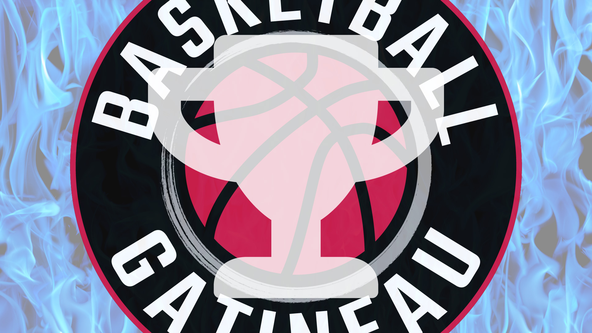 Programme compétitif - Association de basketball de Gatineau